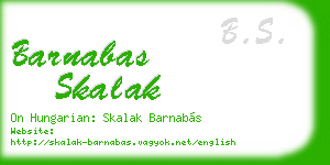 barnabas skalak business card